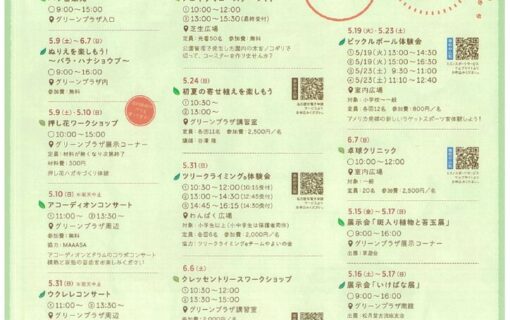 20260509庄内緑地　初夏の華まつり裏のサムネイル